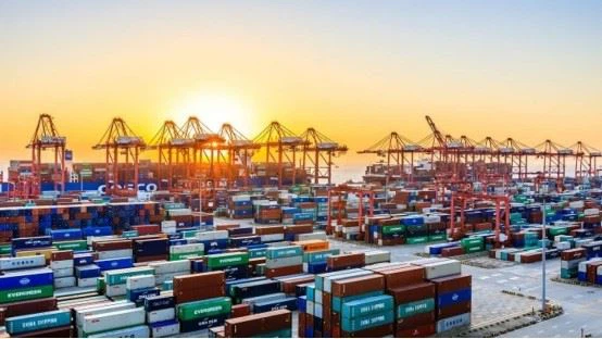 Sea Freight Service From Shanghai Port To Durban Port best